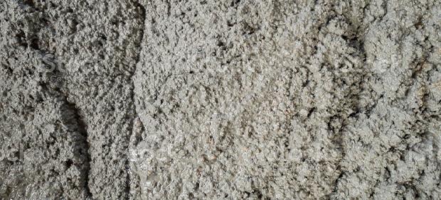 Cement Sandford